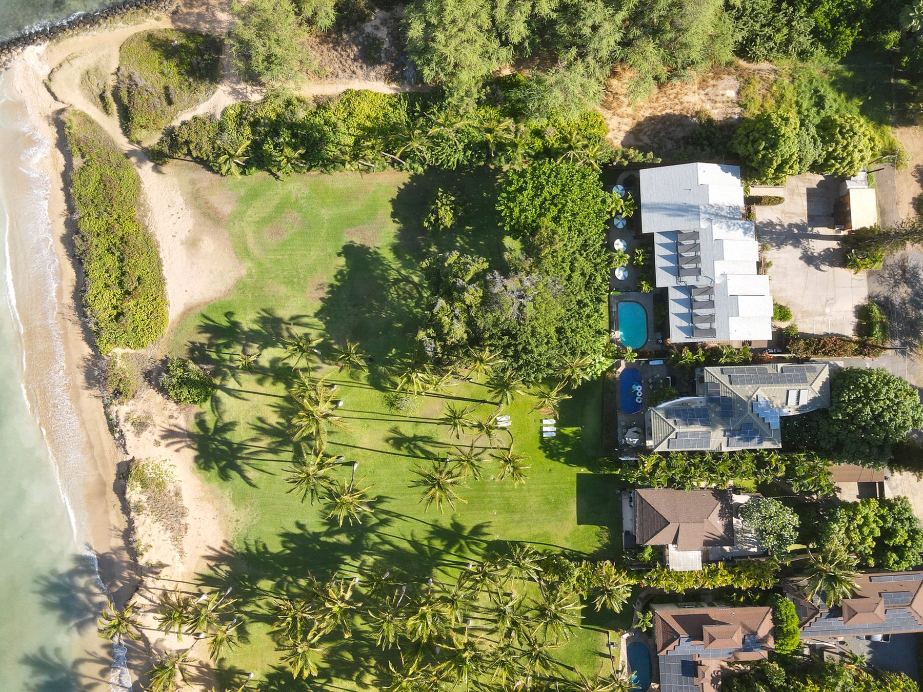 Aerial — direct beachfront location with palms